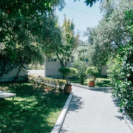 Διαμέρισμα Cactus