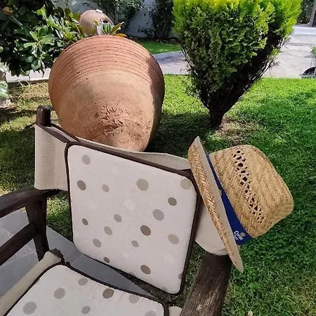 Cactus *