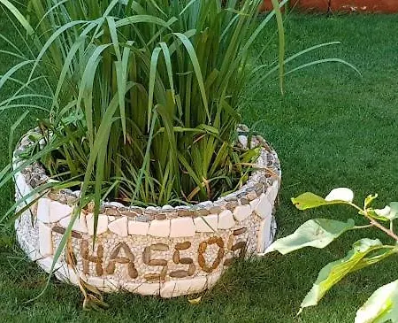 Διαμέρισμα Cactus