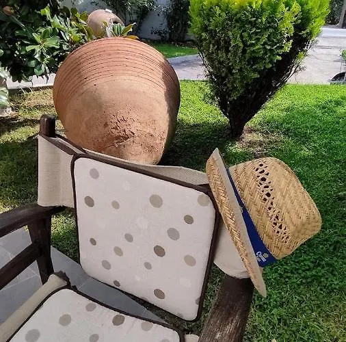 Cactus *